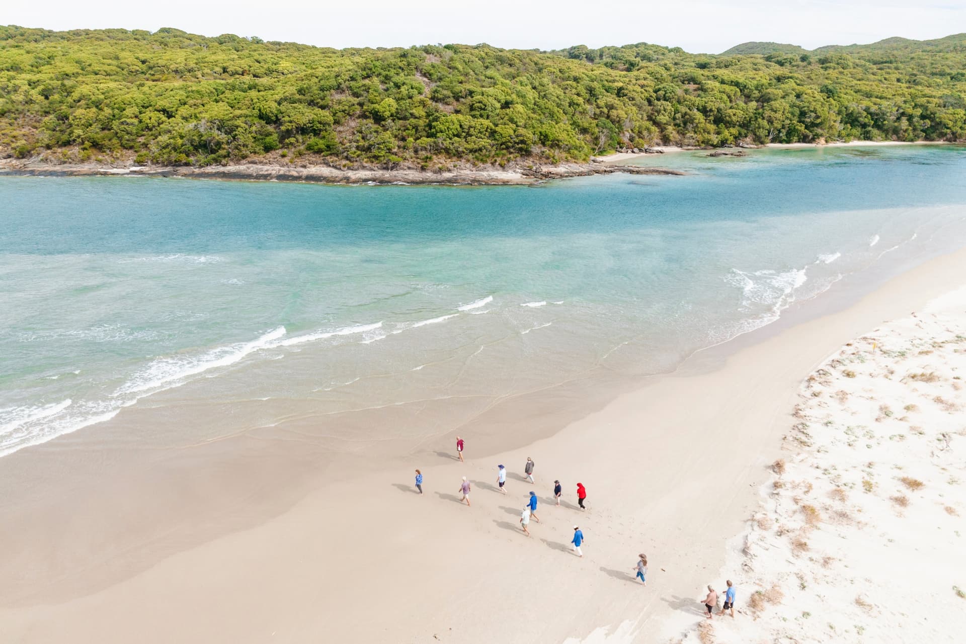 WOW Wilderness - EcoCruise - image 8